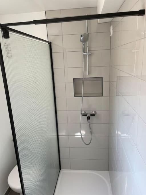 Grand Appartement Hyper Centre גראס מראה חיצוני תמונה