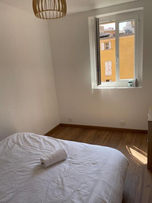 Grand Appartement Hyper Centre גראס מראה חיצוני תמונה